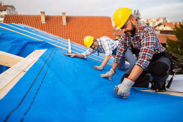 Roof Coating Services in Pasadena Hills, MO